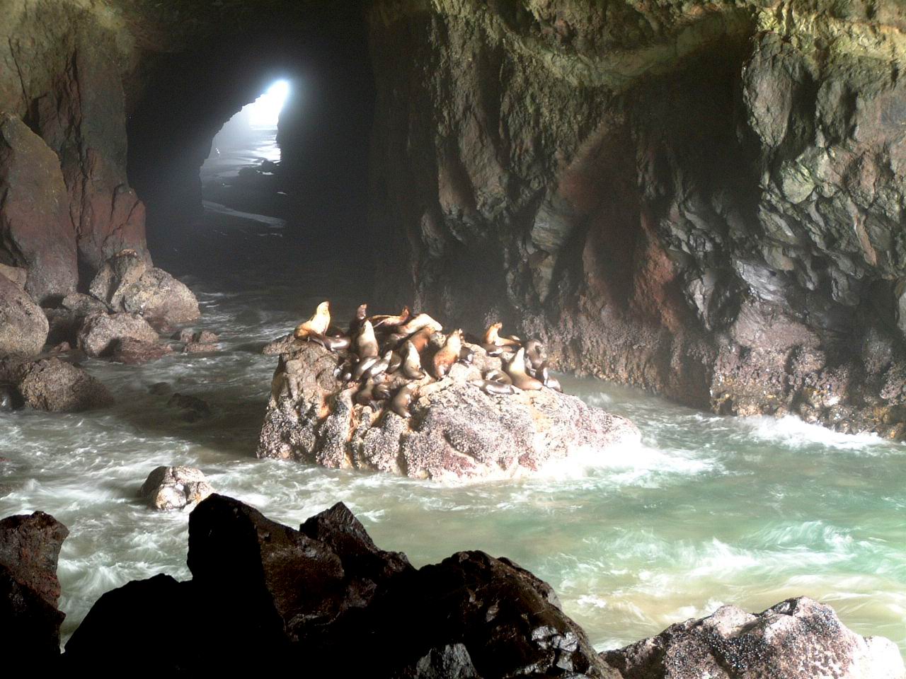 The Sea Lion Cave near Florence, Oregon.